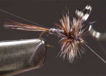 <fly tying feathers>